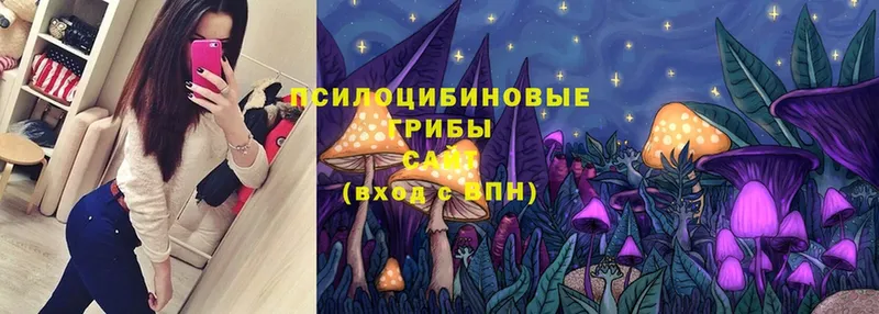 KRAKEN   Заречный  Псилоцибиновые грибы Cubensis 